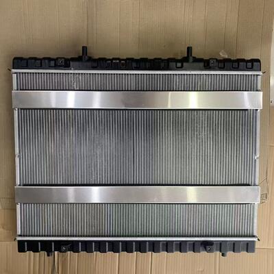 Radiator W113000000001 Automobile Engine Cooling Radiator