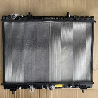 Radiator W113000000001 Automobile Engine Cooling Radiator